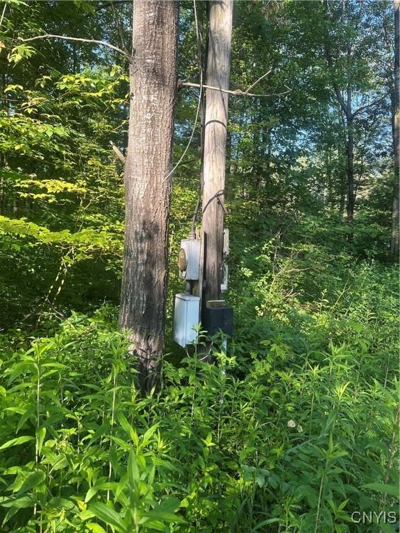 36130 Jackson Ii Rd, Champion, NY 13619