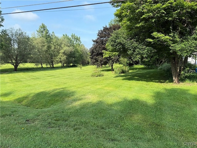 5877 State Route 233, Westmoreland, NY 13440 - view of green lawn