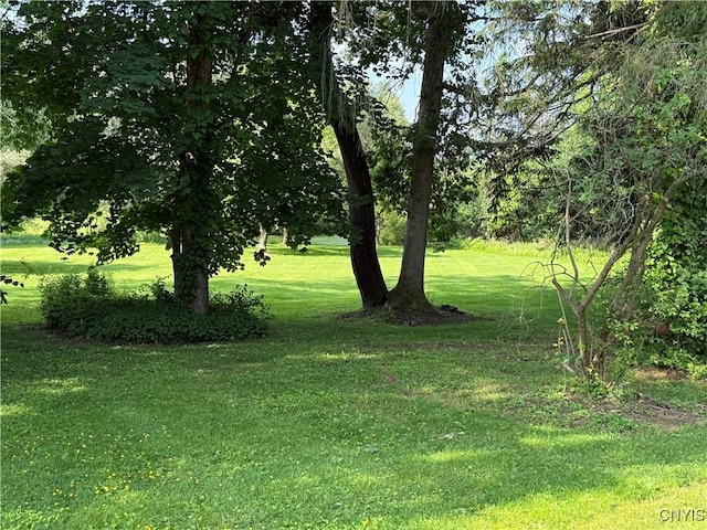 5877 State Route 233, Westmoreland, NY 13440 - view of green lawn