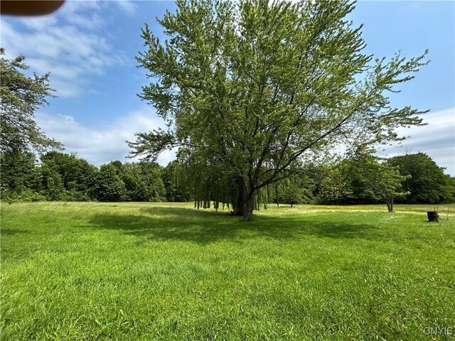 94 Clark Rd, Mexico, NY 13114 - photo 7