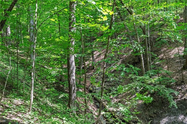 6837 Henderson Rd, Pompey, NY 13078 - photo 31