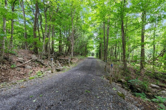 6837 Henderson Rd, Pompey, NY 13078 - photo 32