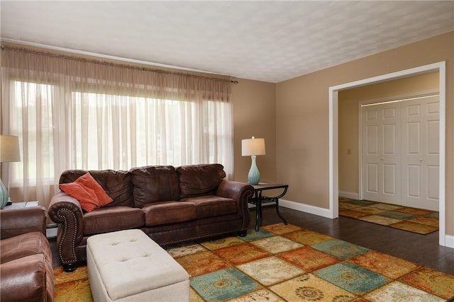 1192 Clendenning Rd, Lindley, NY 14870 - living room featuring wood finished floors and baseboards