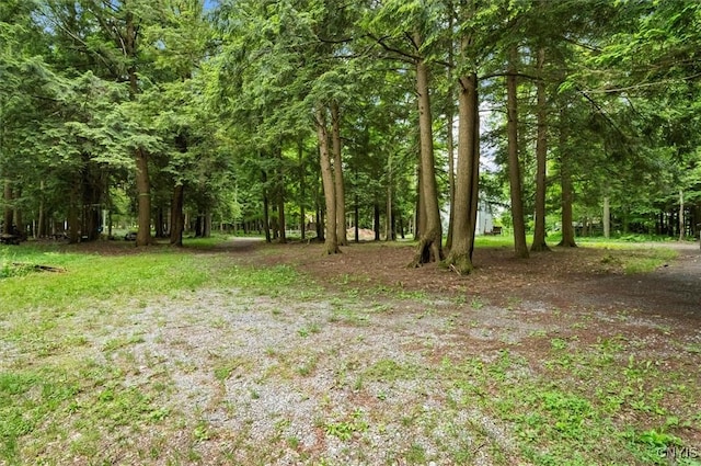 9036 Woods Rd, Remsen, NY 13438 - photo 5