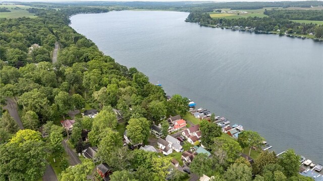 696413 Fillmore Ave, Castile, NY 14549
