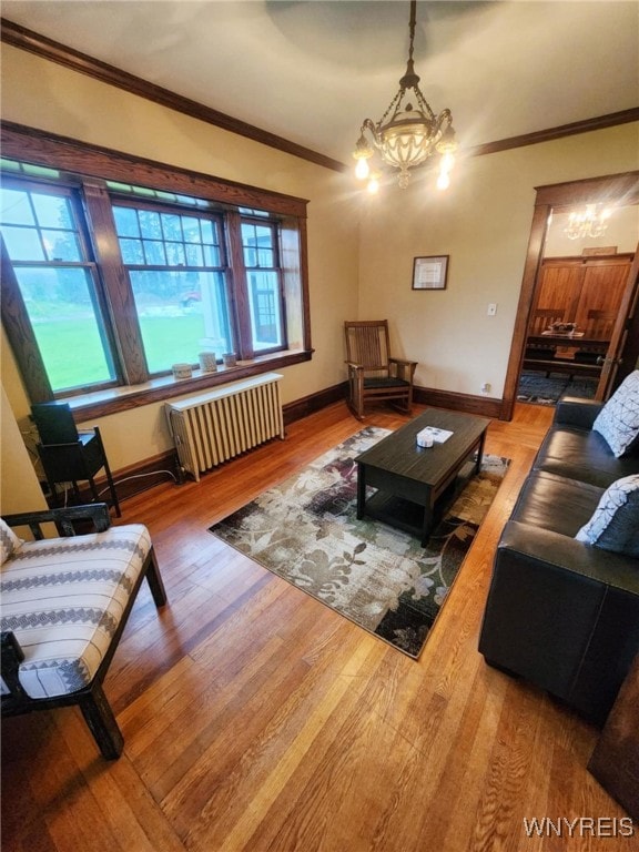 2207 Sheldon Dr, Allegany, NY 14706 - living area featuring radiator heating unit, a chandelier, ornamental molding, plenty of natural light, and wood finished floors