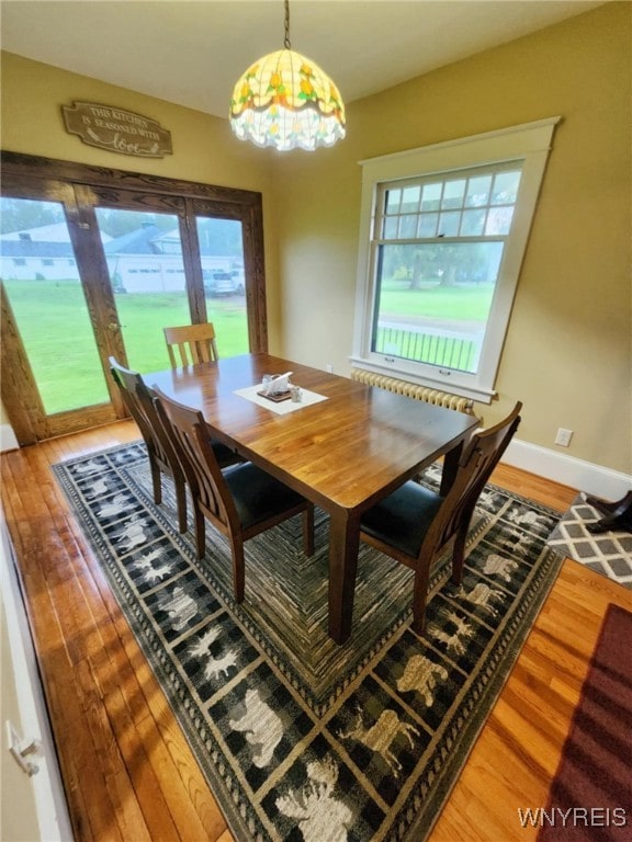 2207 Sheldon Dr, Allegany, NY 14706 - dining space with a chandelier, healthy amount of natural light, and wood finished floors