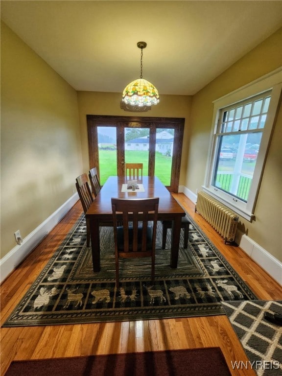 2207 Sheldon Dr, Allegany, NY 14706 - dining room featuring radiator heating unit and wood finished floors