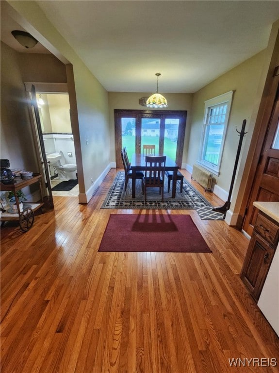 2207 Sheldon Dr, Allegany, NY 14706 - dining room featuring light wood finished floors, a chandelier, and radiator