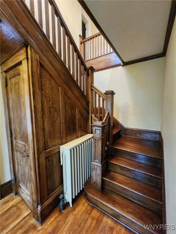 2207 Sheldon Dr, Allegany, NY 14706 - stairs featuring radiator, ornamental molding, and wood finished floors