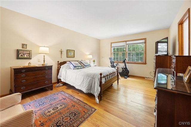 8074 Irish Mist Ln, Manlius, NY 13104 - bedroom with light wood-style flooring and baseboards