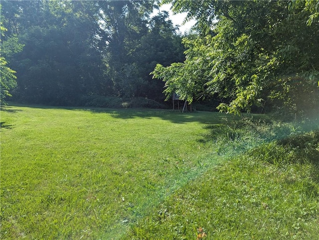 4182 Dresser Rd, Shelby, NY 14103 - view of grassy yard with a wooded view