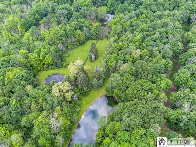 5152 John Darling Rd, Conowingo, NY 14726 - view of property location with a nearby body of water and a heavily wooded area