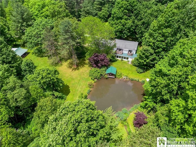 5152 John Darling Rd, Conowingo, NY 14726 - view from above of property featuring a nearby body of water