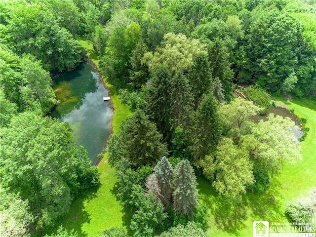 5152 John Darling Rd, Conowingo, NY 14726 - drone / aerial view of a nearby body of water