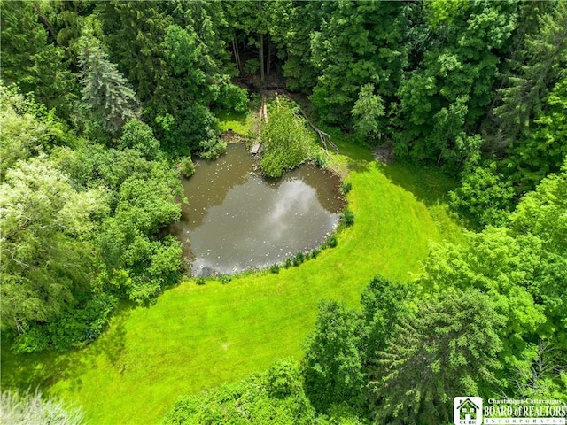 5152 John Darling Rd, Conowingo, NY 14726 - bird's eye view