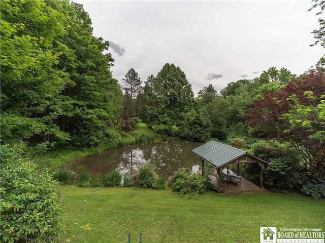 5152 John Darling Rd, Conowingo, NY 14726 - drone / aerial view of a large body of water and a forest