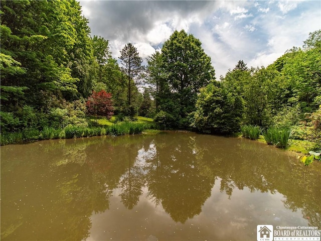5152 John Darling Rd, Conowingo, NY 14726 - water view with a forest
