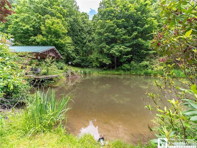 5152 John Darling Rd, Conowingo, NY 14726 - water view