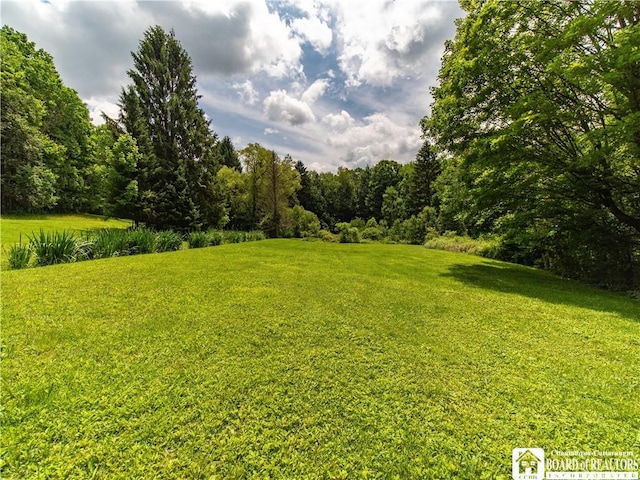 5152 John Darling Rd, Conowingo, NY 14726 - view of grassy yard