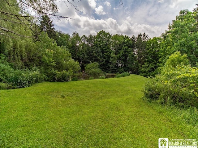5152 John Darling Rd, Conowingo, NY 14726 - view of grassy yard with a forest view