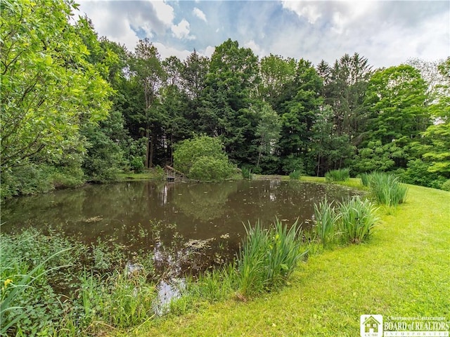 5152 John Darling Rd, Conowingo, NY 14726 - view of green lawn with a water view and a view of trees