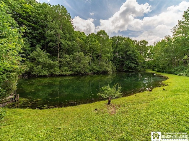 5152 John Darling Rd, Conowingo, NY 14726 - water view with a heavily wooded area