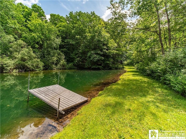 5152 John Darling Rd, Conowingo, NY 14726 - view of grassy yard with a dock and a water view
