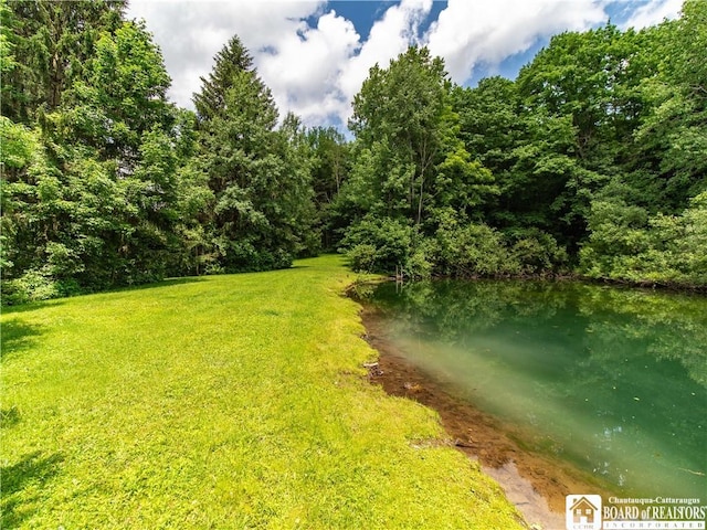5152 John Darling Rd, Conowingo, NY 14726 - view of green lawn with a forest view