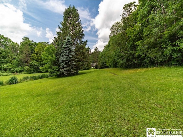5152 John Darling Rd, Conowingo, NY 14726 - view of grassy yard with a view of trees