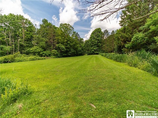 5152 John Darling Rd, Conowingo, NY 14726 - view of grassy yard with a view of trees
