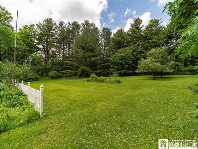 5152 John Darling Rd, Conowingo, NY 14726 - view of yard
