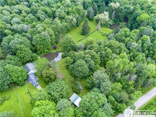 5152 John Darling Rd, Conowingo, NY 14726 - view of property location