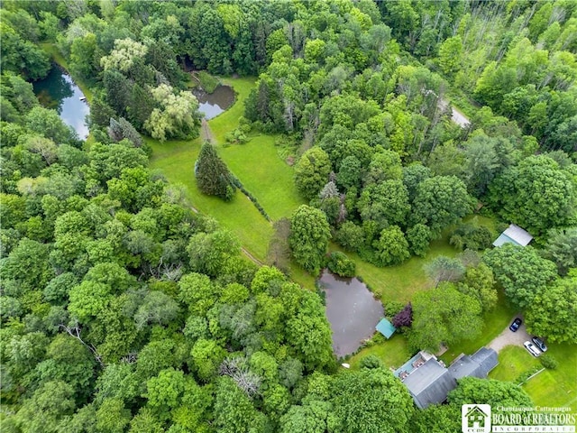 5152 John Darling Rd, Conowingo, NY 14726 - aerial view of a nearby body of water and a heavily wooded area