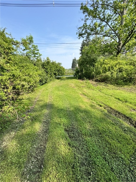 66 W Benton Ave, Port Allegany Boro, PA 16743 - view of yard