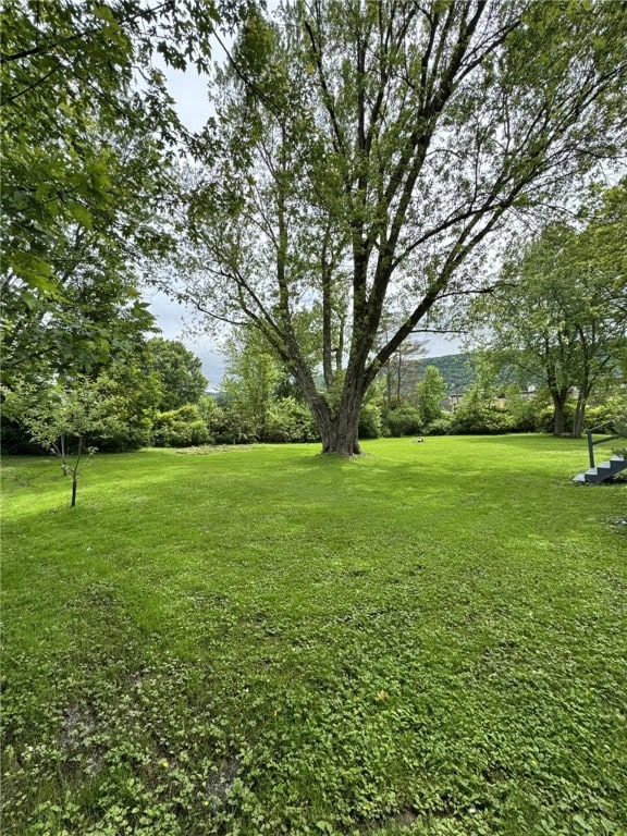 66 W Benton Ave, Port Allegany Boro, PA 16743 - view of green lawn