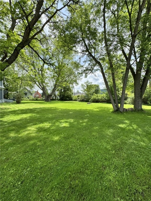 66 W Benton Ave, Port Allegany Boro, PA 16743 - view of green lawn