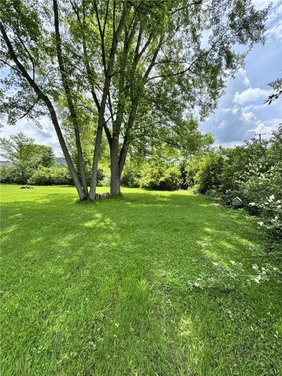 66 W Benton Ave, Port Allegany Boro, PA 16743 - view of grassy yard