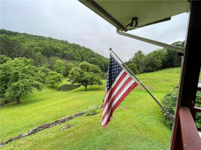 286 Hidden Hollow Farm Dr, Wharton, PA 16720 - view of green lawn featuring a forest view