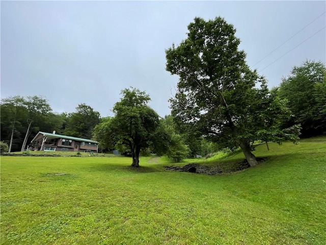 286 Hidden Hollow Farm Dr, Wharton, PA 16720 - view of green lawn
