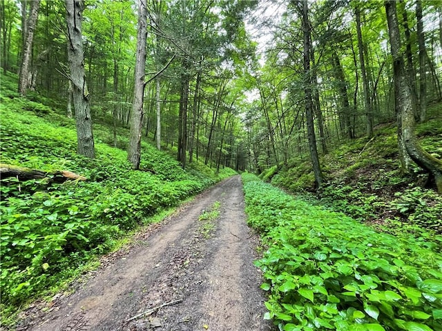 286 Hidden Hollow Farm Dr, Wharton, PA 16720 - view of dirt / gravel road with a forest view