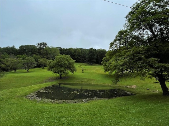 286 Hidden Hollow Farm Dr, Wharton, PA 16720 - surrounding community featuring a yard