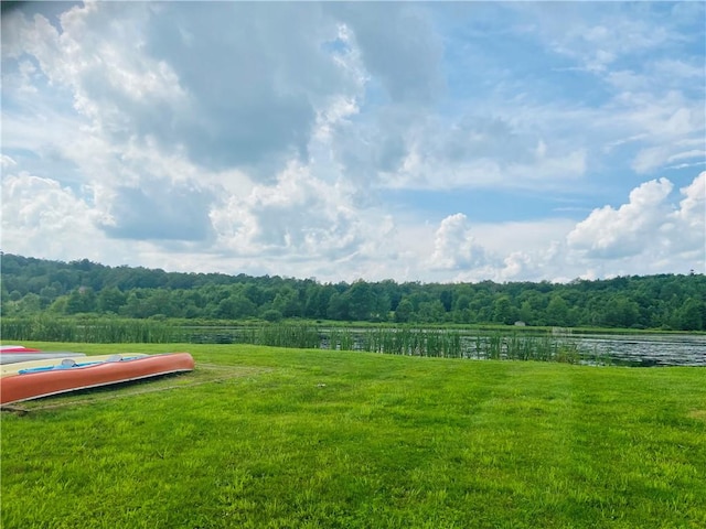 1342 Crystal Creek Rd, Hamden, NY 13856 - photo 33