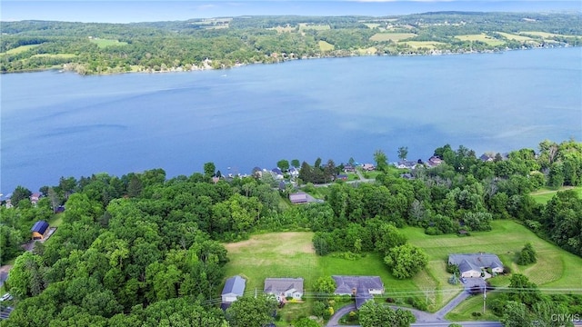 2338 State Route 174, Spafford, NY 13110 - photo 46