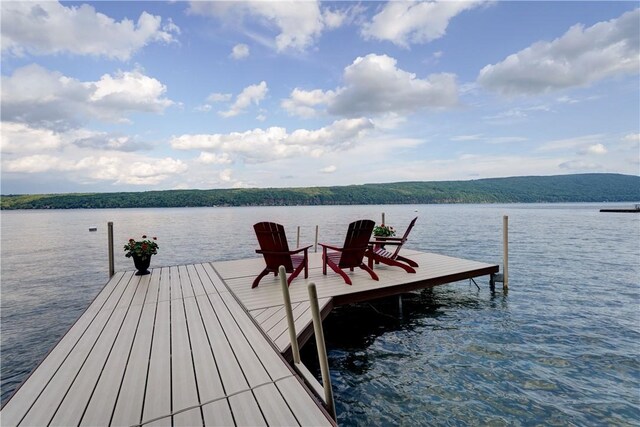 5561 Logan Ln, Canandaigua Town, NY 14424 - photo 44