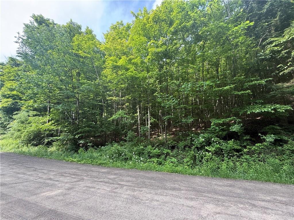 7420 Feather St, Springwater, NY 14512 - photo 1