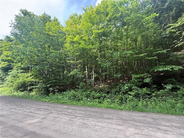7420 Feather St, Springwater, NY 14512 - photo 1