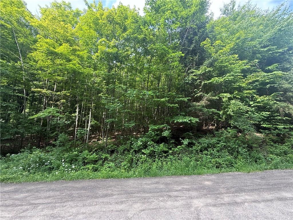 7420 Feather St, Springwater, NY 14512 - photo 2