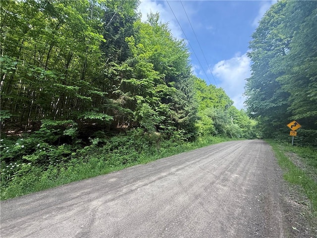 7420 Feather St, Springwater, NY 14512 - photo 3