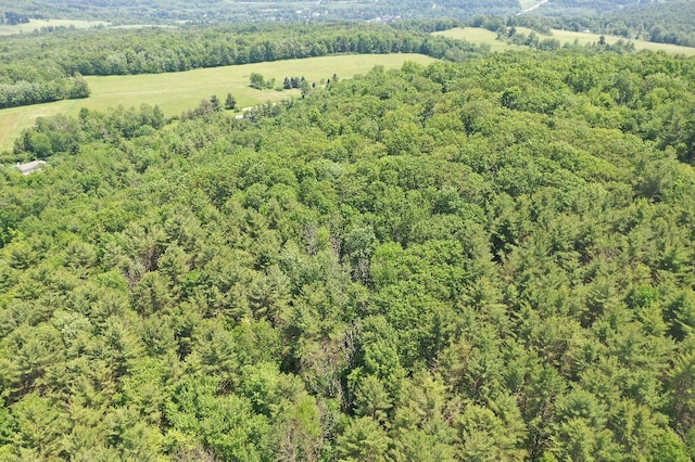 Kilkenny Rd, Unadilla, NY 13849 - photo 4